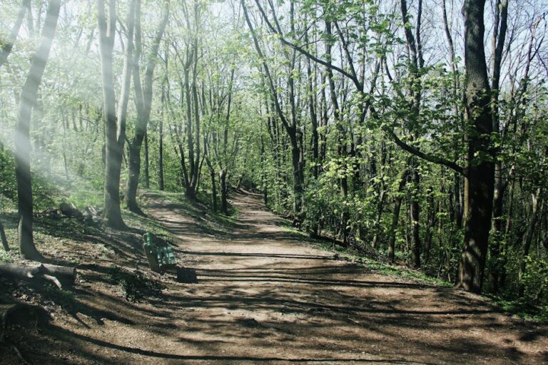 top 10 trail filters