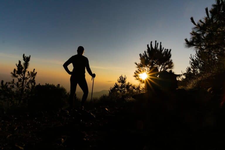 portable uv light purifier